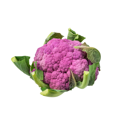 CAVOLFIORE VIOLETTO DI SICILIA